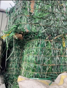 长期出售海信工厂下来的pet打包带废料，现货够6.8一车