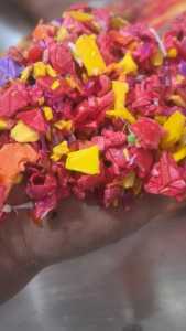 求购红色工程丙破碎料，造粒用