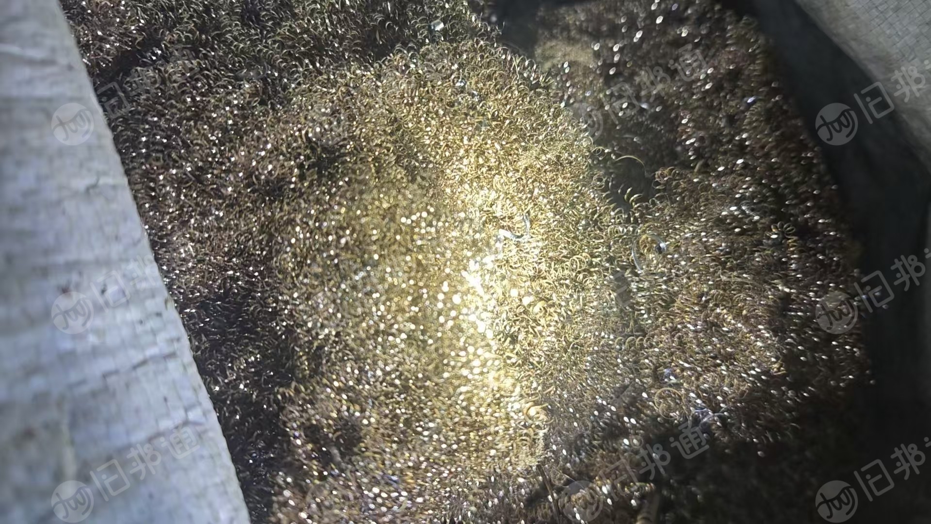 出售黄铜屑,镍刨花