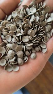 出售PE电池膜颗粒，溶脂0.2