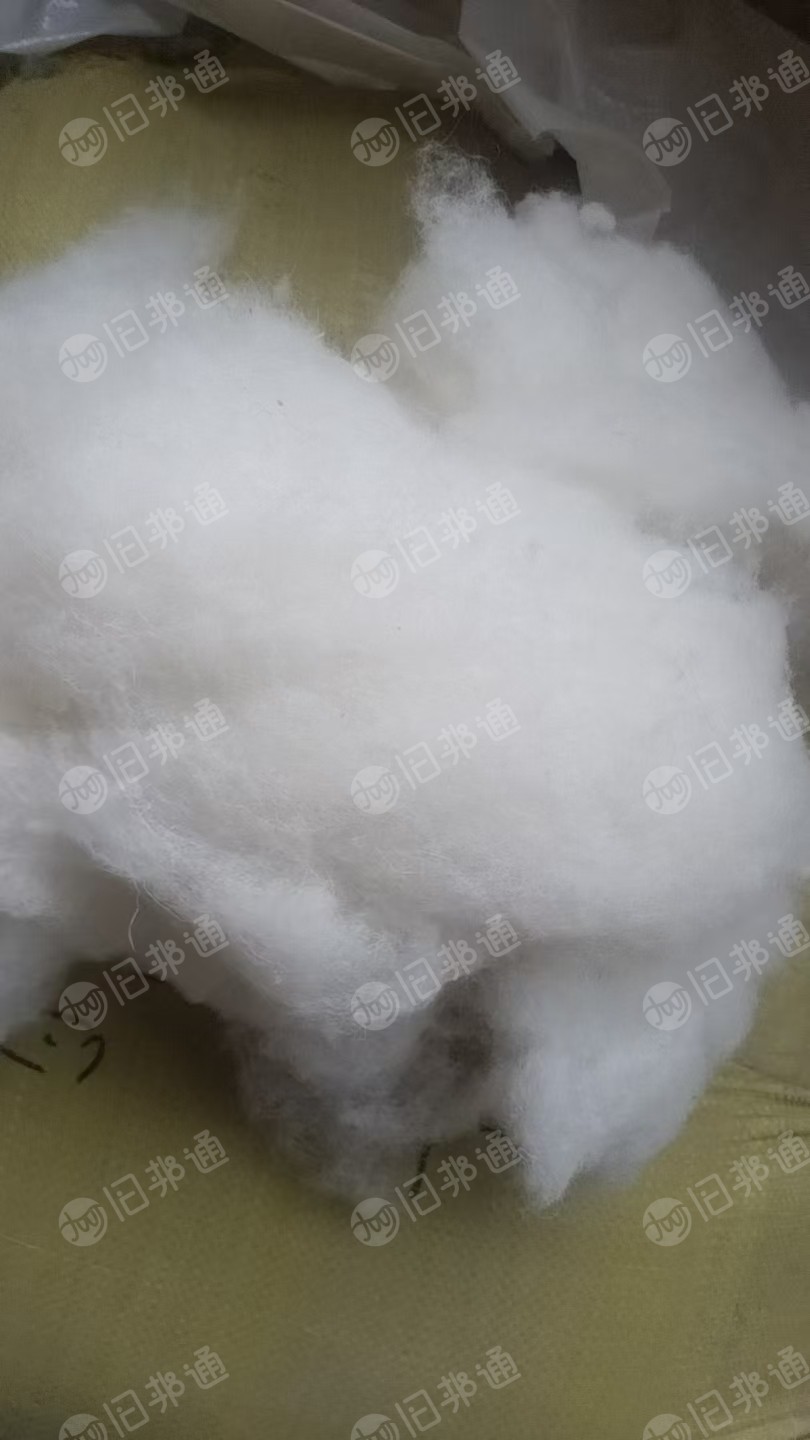 长期出售丝棉下脚料开出来的再生棉，现货十吨