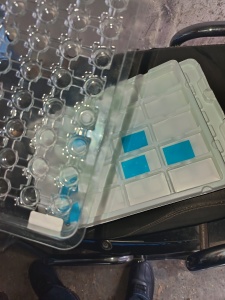 电子厂废料，缠绕膜吸塑盒，电子厂载带，珍珠棉，和塑料纸，还有废纸箱废纸