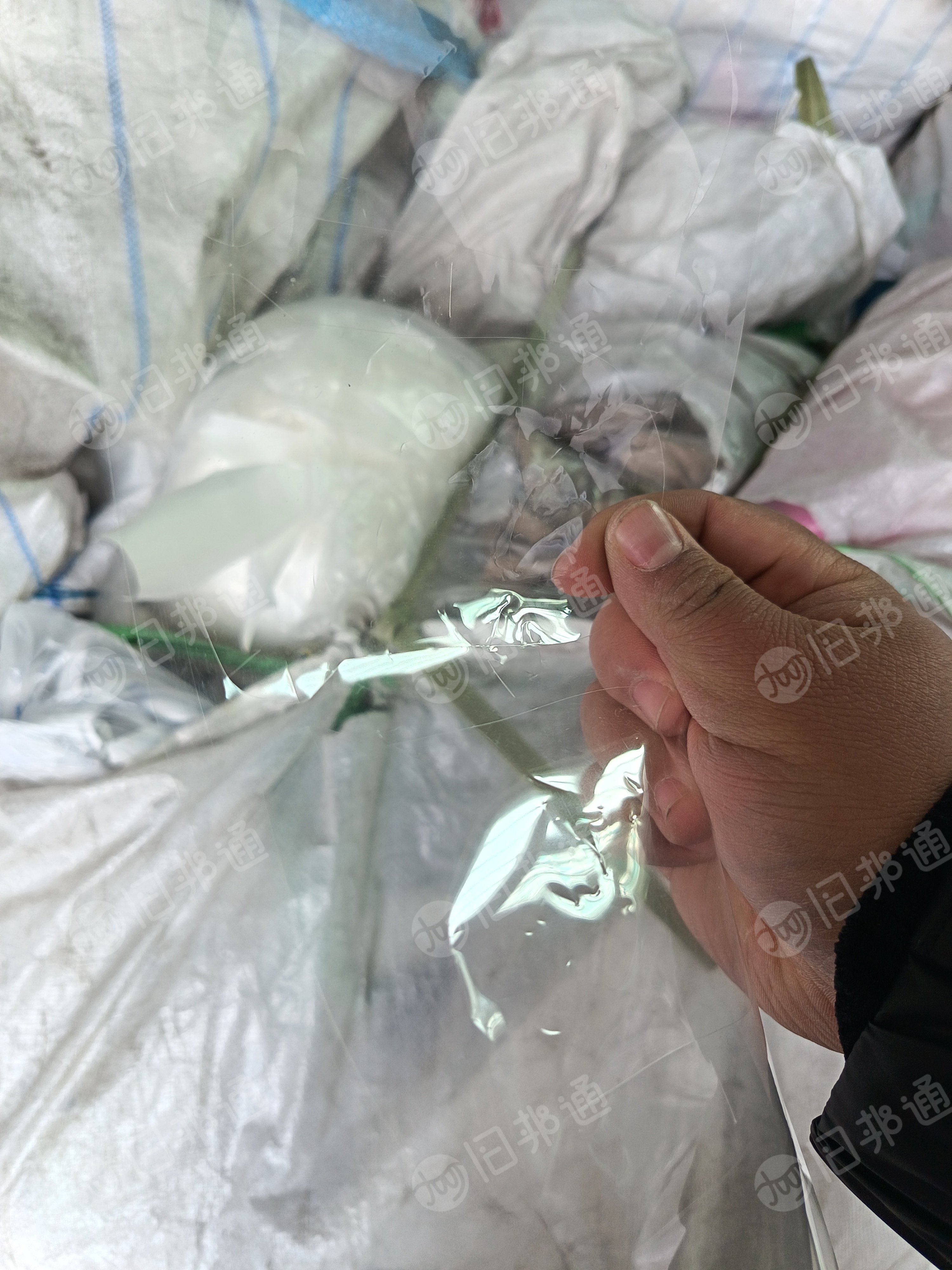 电子厂废料，缠绕膜吸塑盒，电子厂载带，珍珠棉，和塑料纸，还有废纸箱废纸