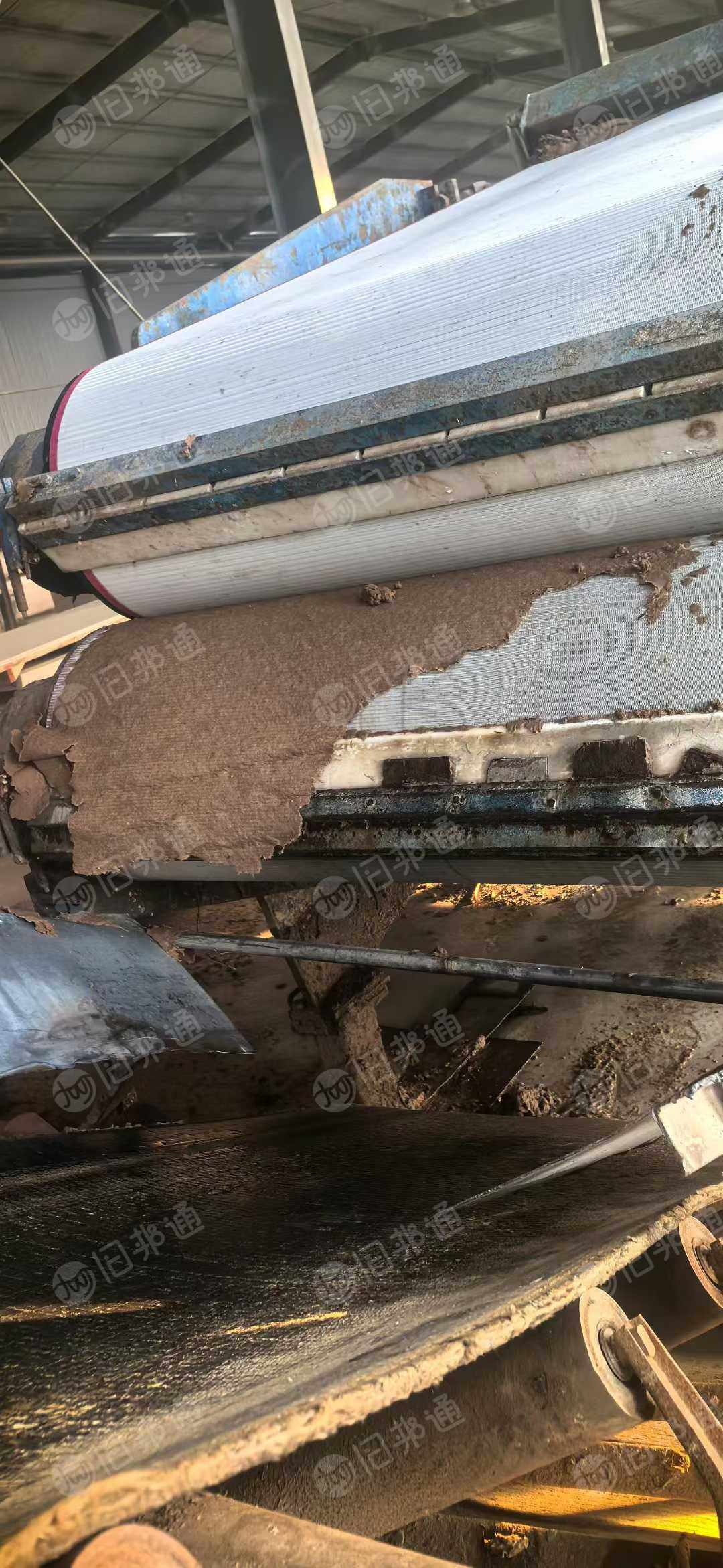 出售长纤维针叶本色湿纸浆，大量货源