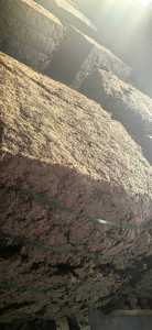 出售长纤维针叶本色湿纸浆，大量货源