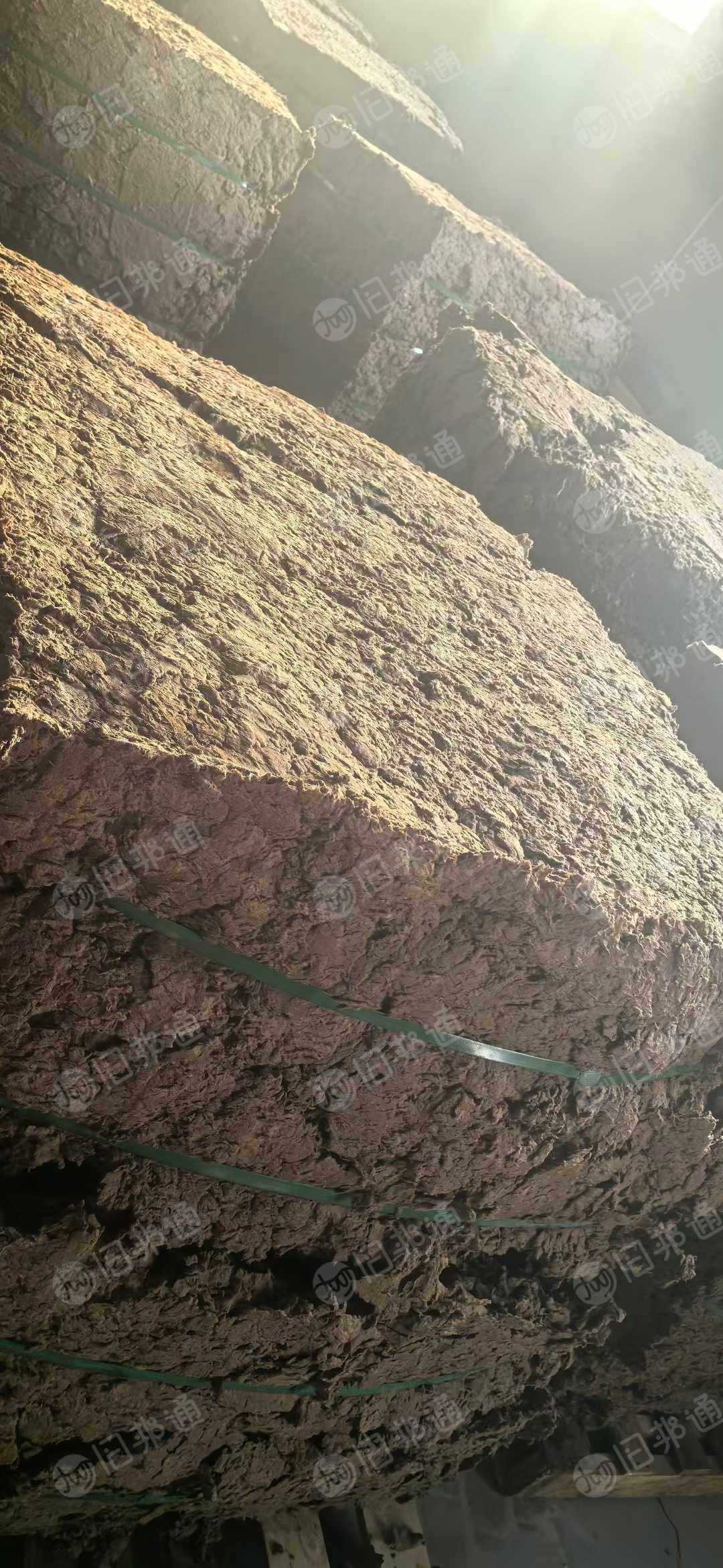 出售长纤维针叶本色湿纸浆，大量货源