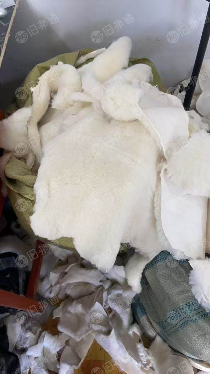 长期出售纯羊毛带一层羊皮，每个月有十几吨，货在河北衡水