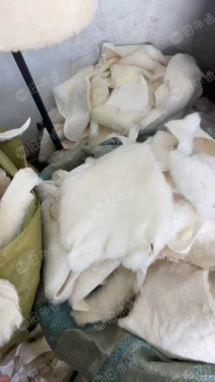 长期出售纯羊毛带一层羊皮，每个月有十几吨，货在河北衡水