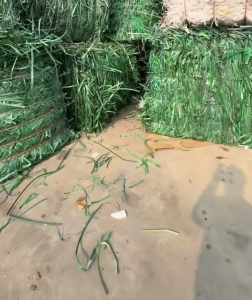 长期出售PET打包带废料