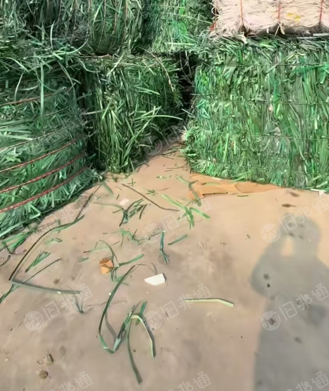 长期出售PET打包带废料