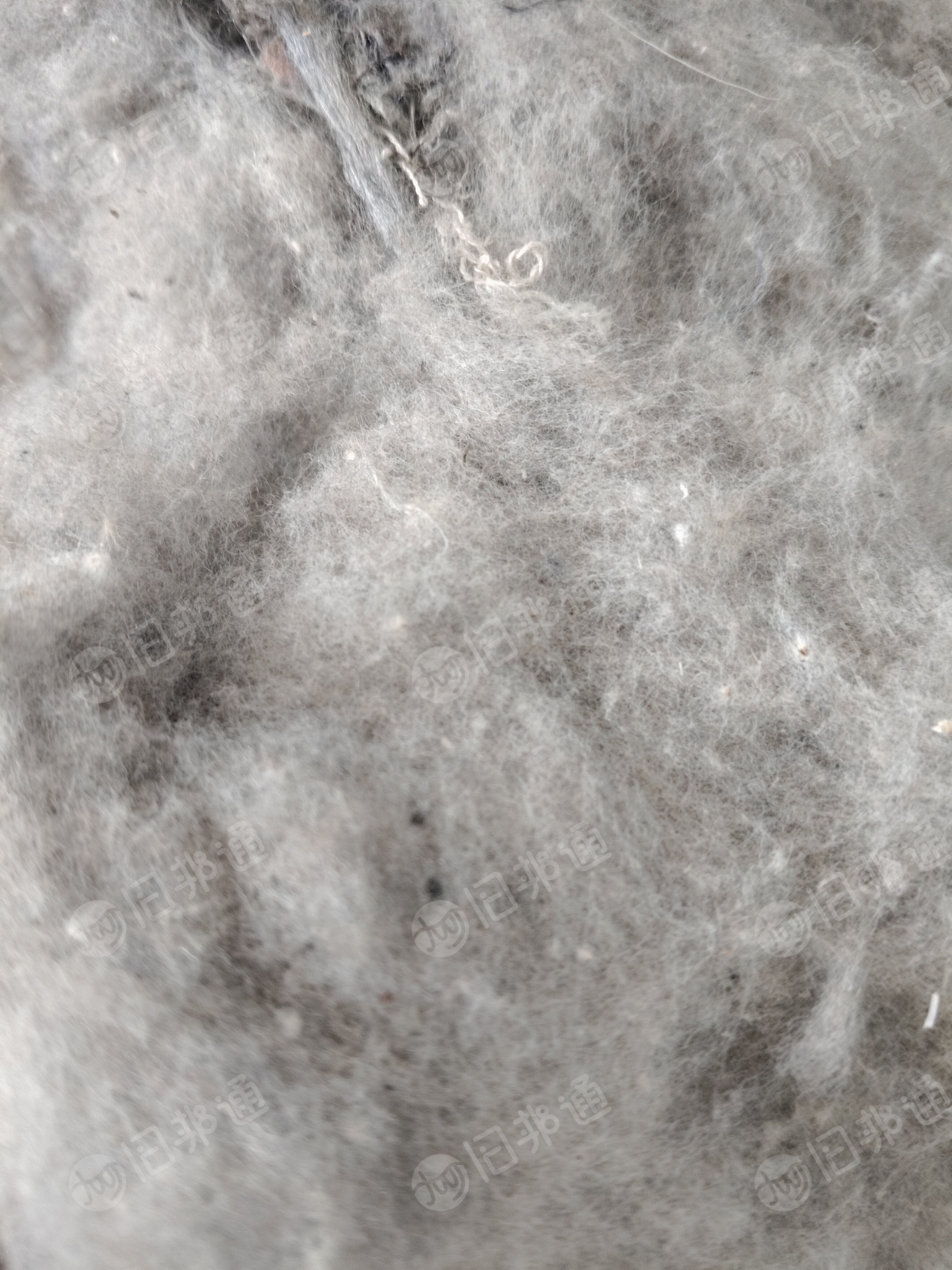 长期大量出售色纺纱原料，开松棉，开花棉，涤棉纯棉都有，涤棉可以纺12支，纯棉纺21支