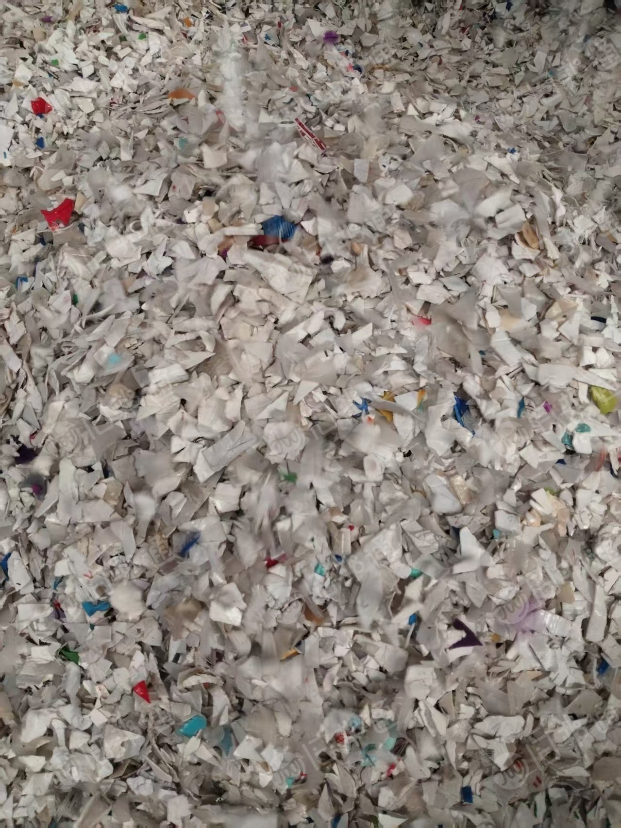 出售白乙破碎料，大小白混打，未过风选，清洗甩干的，月供300吨