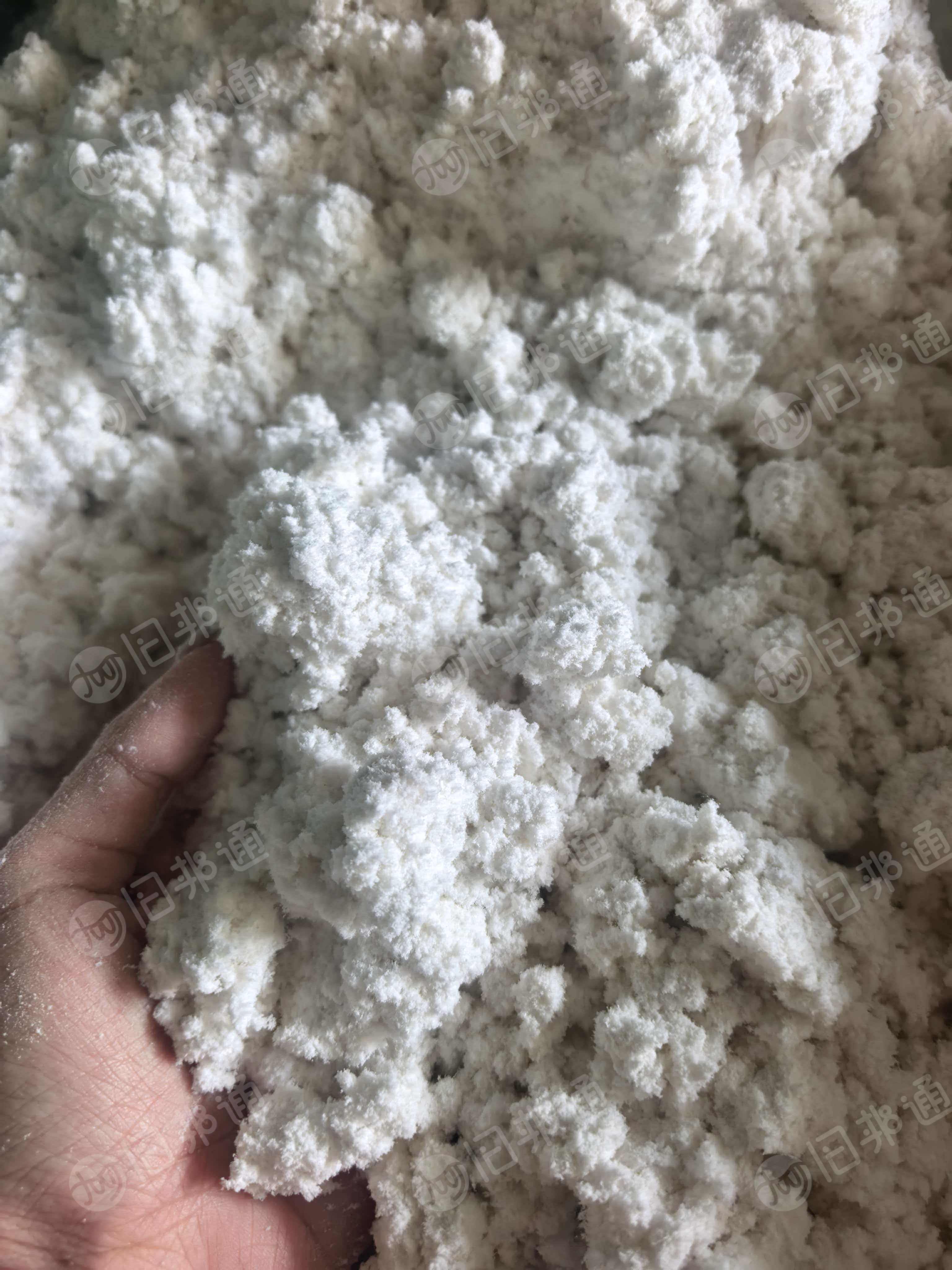 长期出售木浆棉毛毛料，磨毛料，可以做纤维素，月供300吨，货在福建泉州