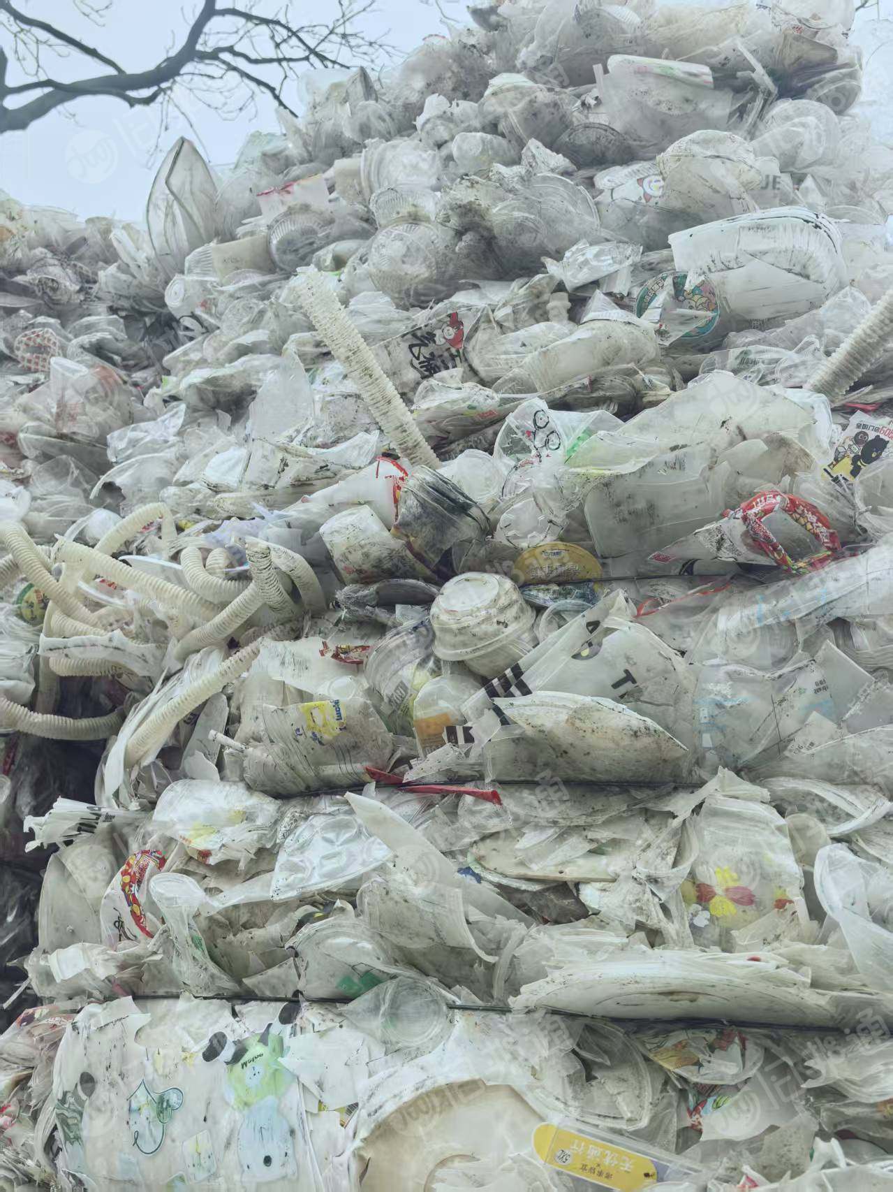 长期出售餐盒压块，带百分之10的奶茶杯，现货一挂车