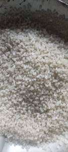 出售PP餐盒颗粒，透明，乳白的都有