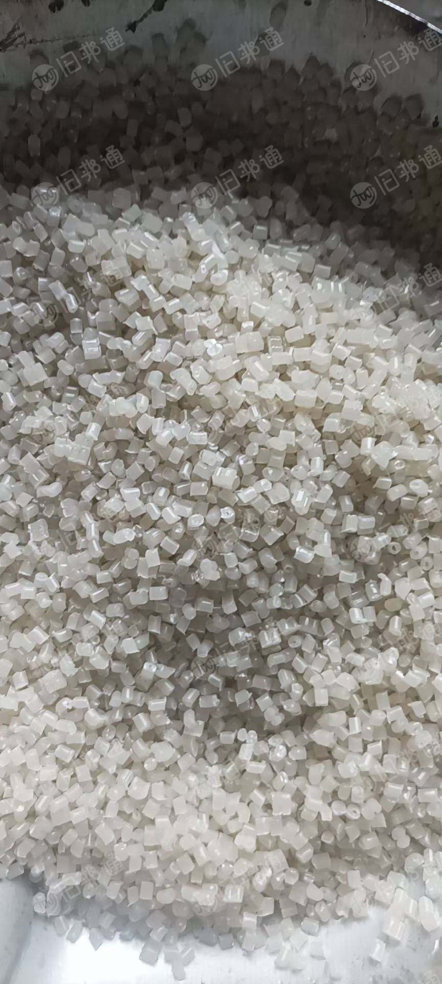 出售PP餐盒颗粒，透明，乳白的都有