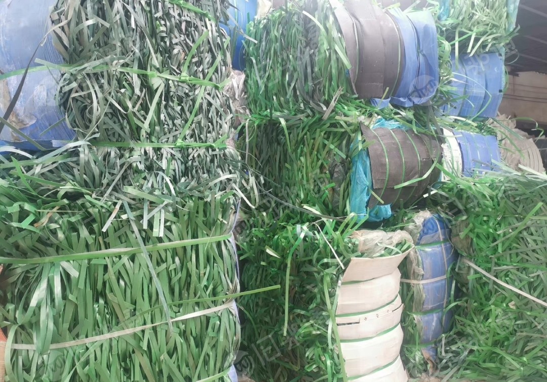 出售pet打包带废料