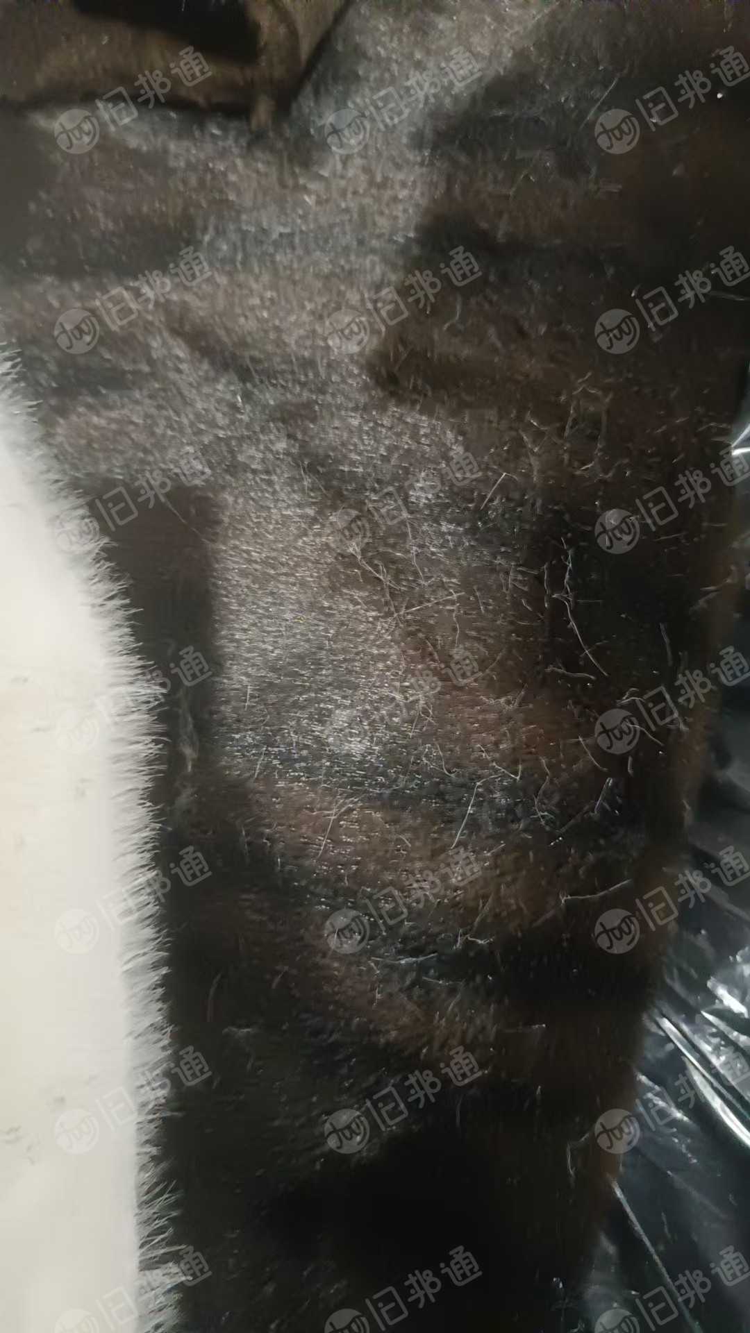 长期出售PET假毛，毛领厂下来的，什么颜色都有，每个月有50吨，货在河北衡水