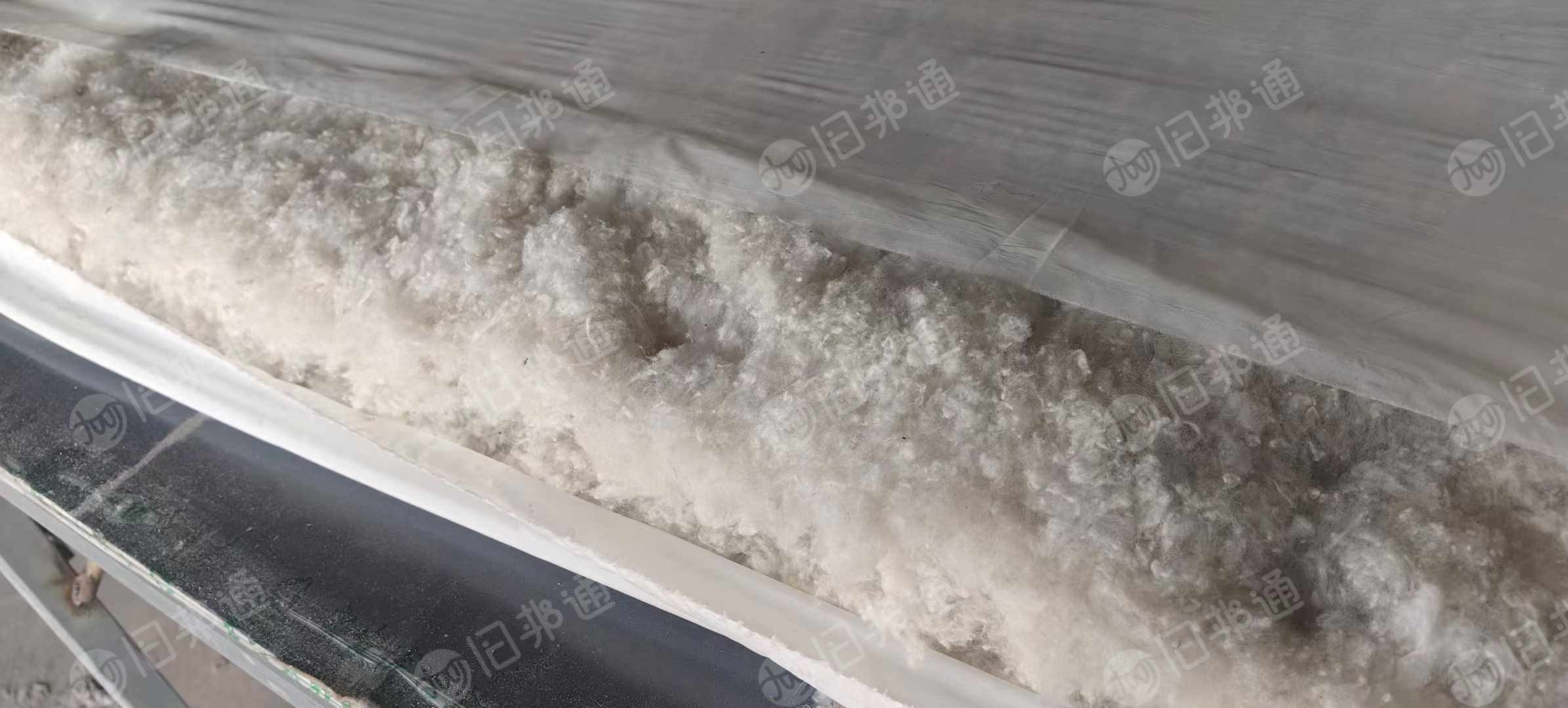 长期回收开好的浅色绗棉，开花棉，次白棉，现在需要50吨