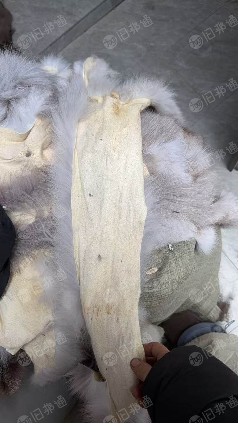 出售貂皮大衣裁下来的比边角料，真毛料，狐狸皮下脚料，现货有5吨左右，货在浙江嘉兴