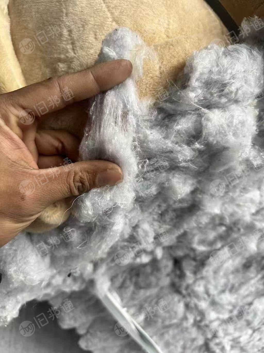 长期出售二白绗棉开出来的开花棉，现货40吨左右，货在江苏南通