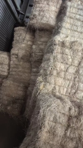 常年大量回收口杯纸膜边