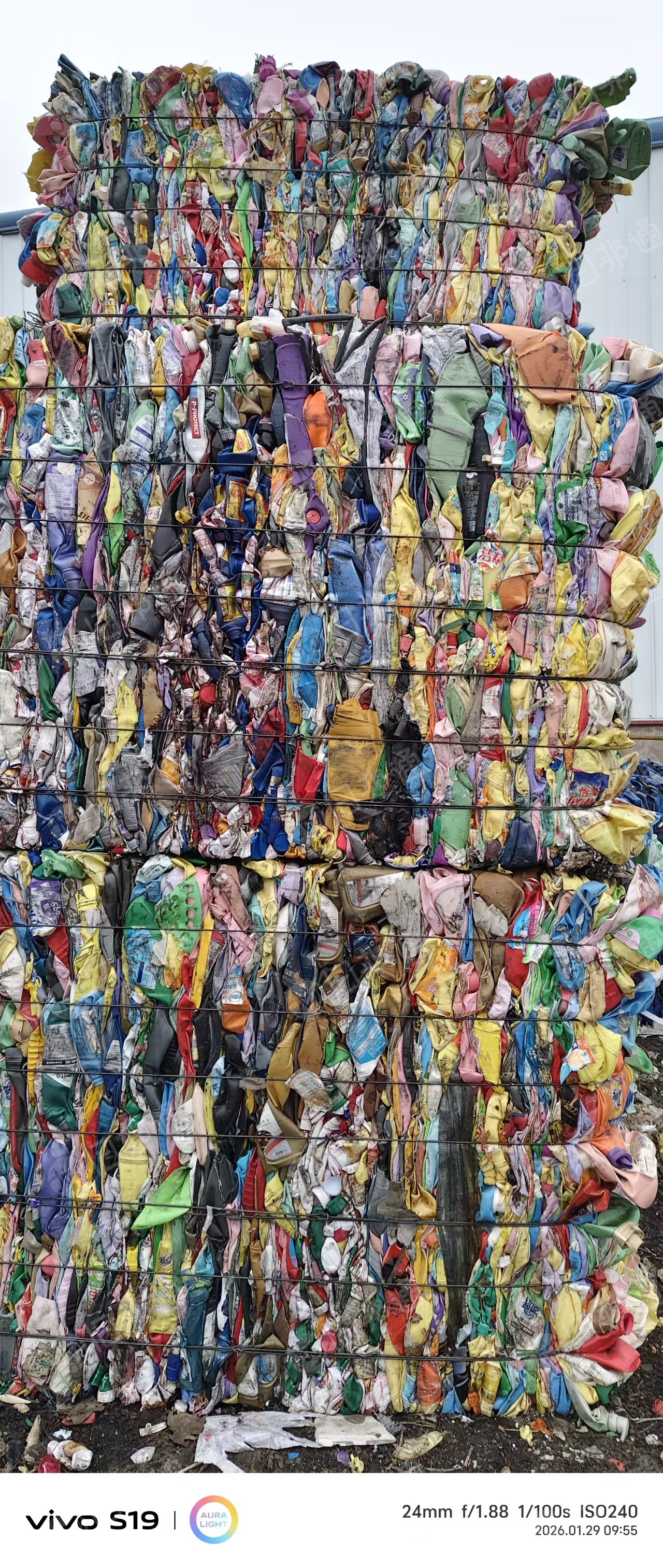 出售花乙压块，大小白乙压块，长期有货