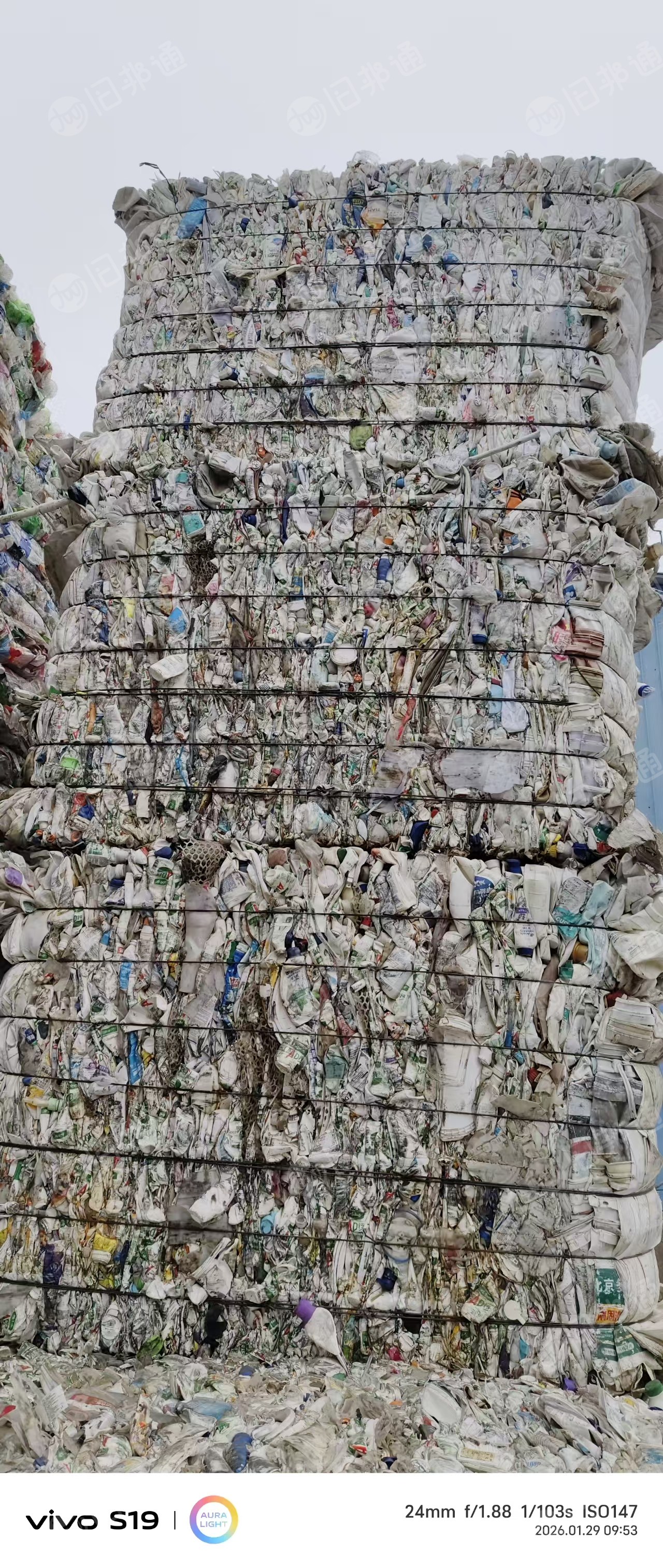 出售花乙压块，大小白乙压块，长期有货