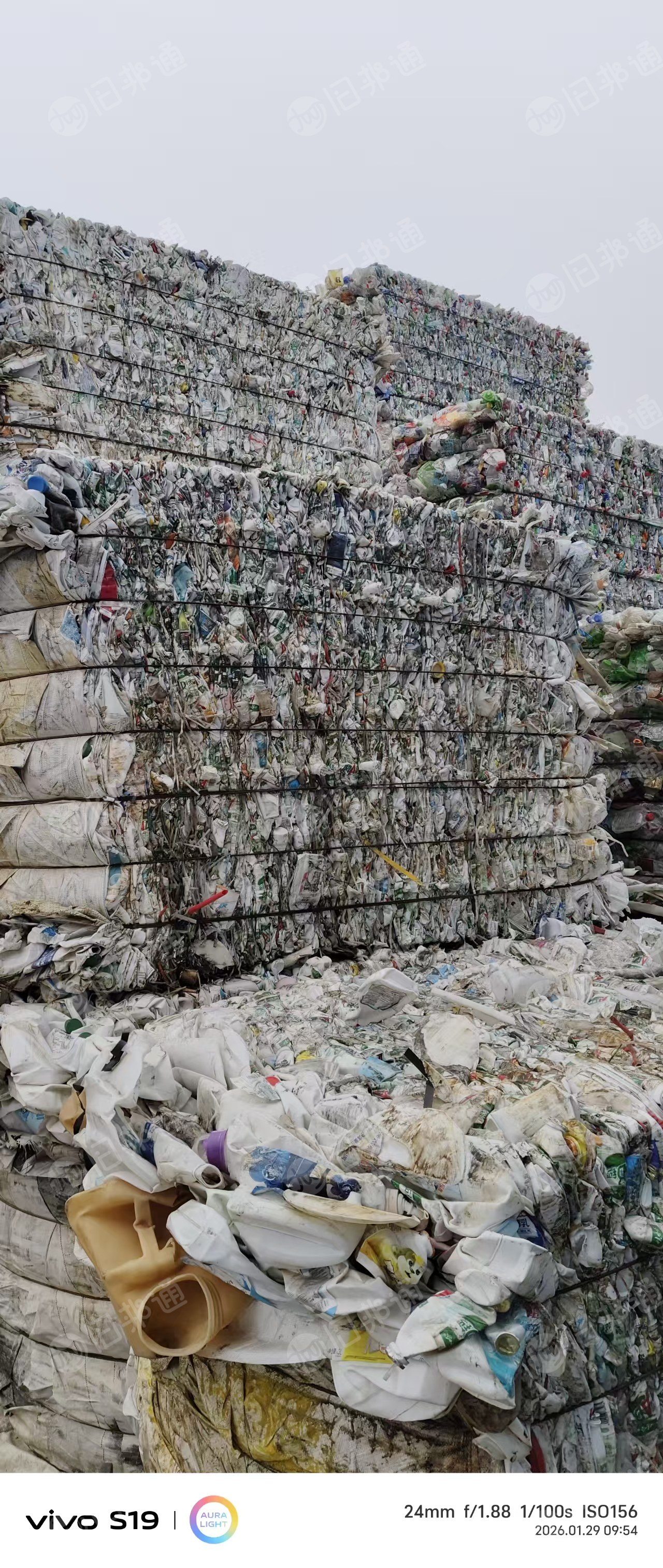 出售花乙压块，大小白乙压块，长期有货