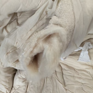 长期出售火车上下来的纯棉棉被，棉被，现货七吨