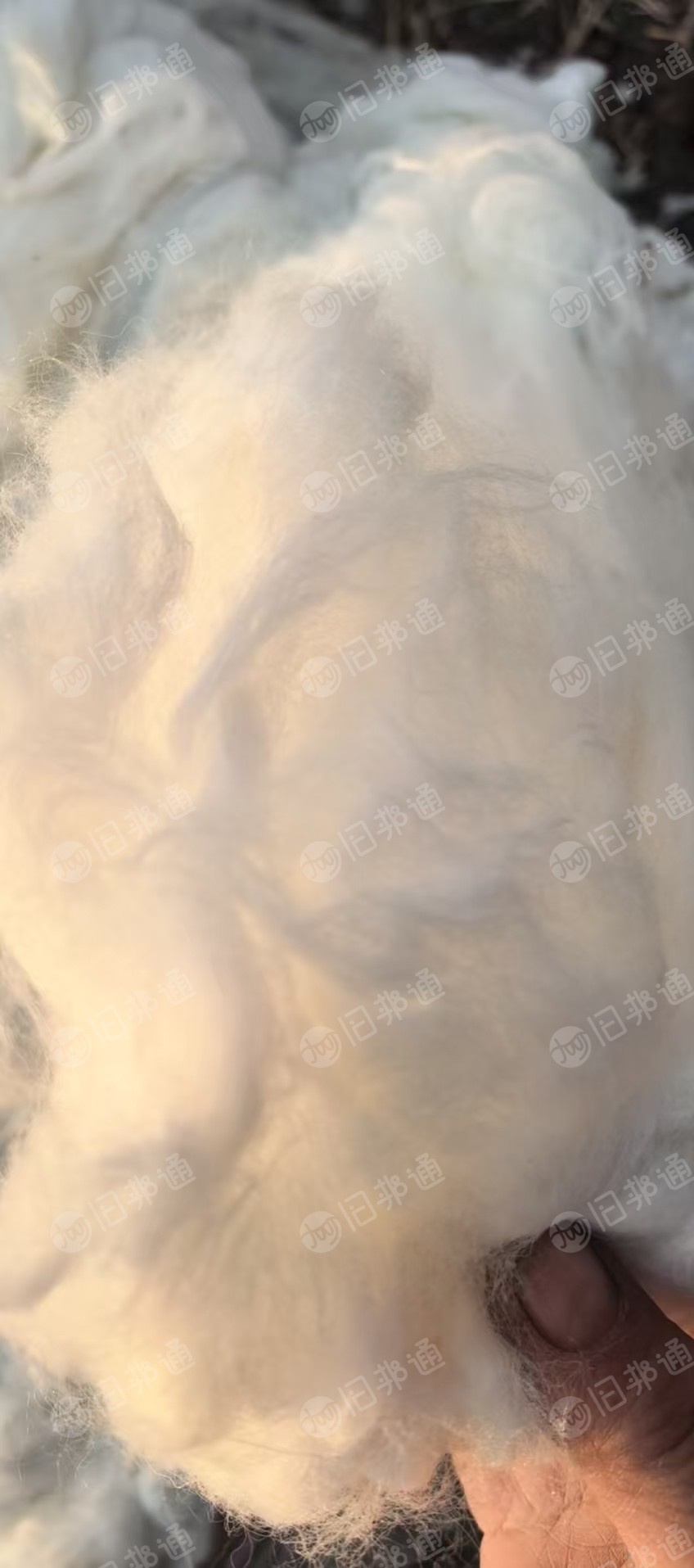 长期出售国产腈纶回丝,腈纶丝,白色偏黄,可以做开花用,现货两挂车