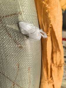 长期出售尼龙地毯纱，尼龙废丝，锦纶废丝，月供5-10吨，货在山东滨州