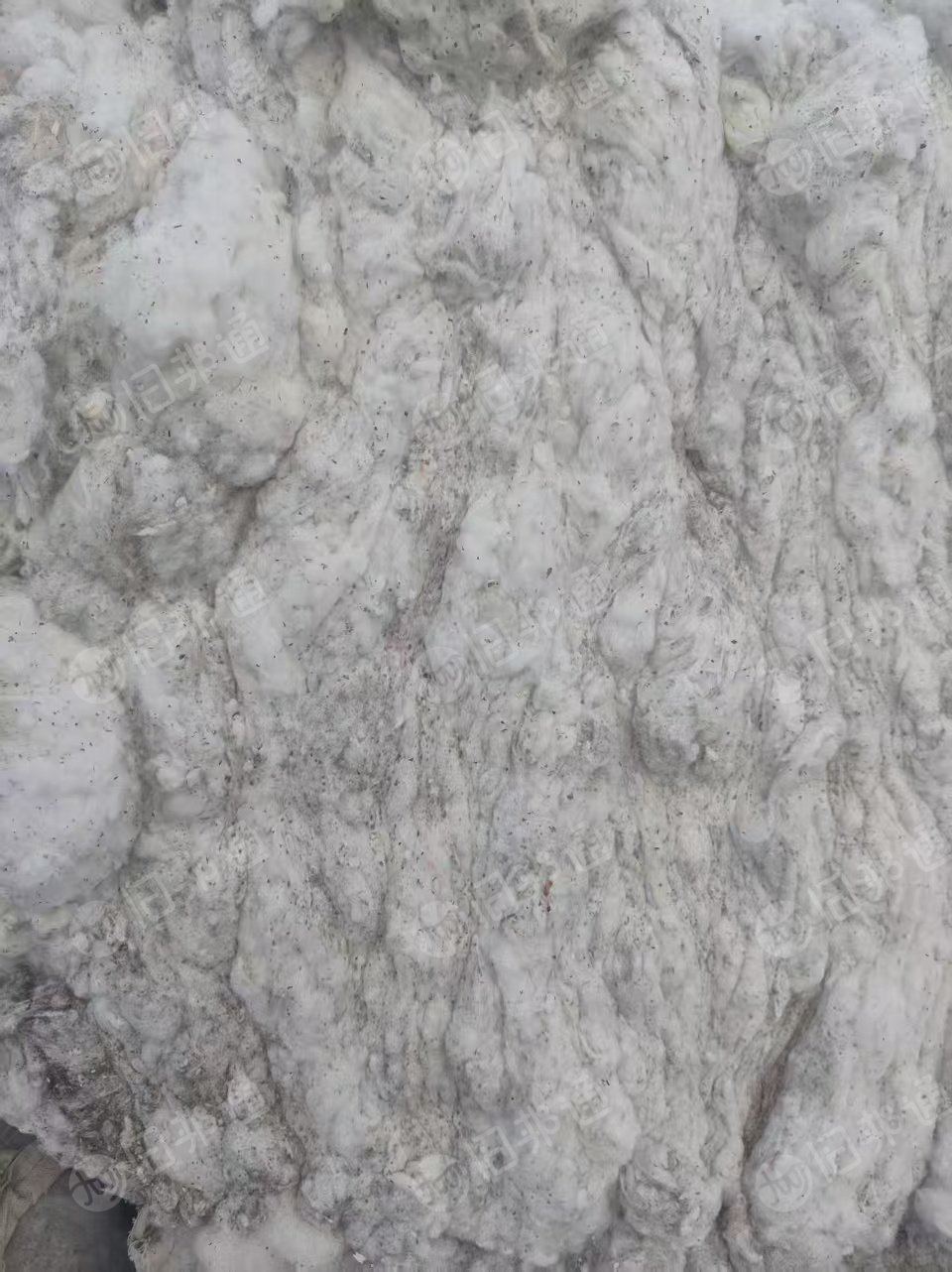 长期出售环锭纺40支下来的纯棉精梳落棉，破籽棉，现货17.5米两车，山东菏泽，新疆石河子都有厂