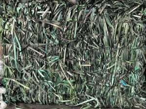 出售PET打包带毛料，现货十几吨