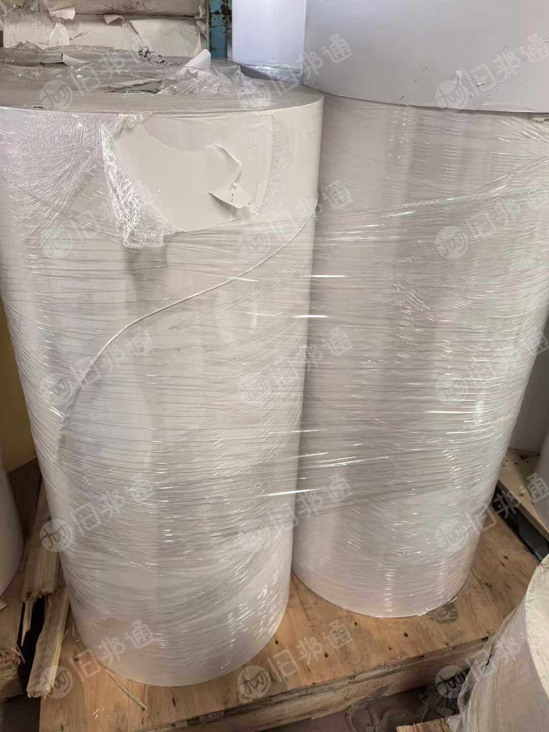 长期出售各种面材乱码不干胶纸