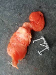 出售玩具厂下来的eva废料，水口料、颗粒、边角料都有，统货一起出，月供10吨左右