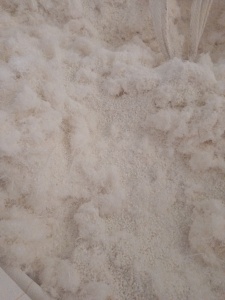 长期求购pet粉末，涤纶磨毛料，涤纶废丝，毛毛料，白色要求白度要好，造粒用