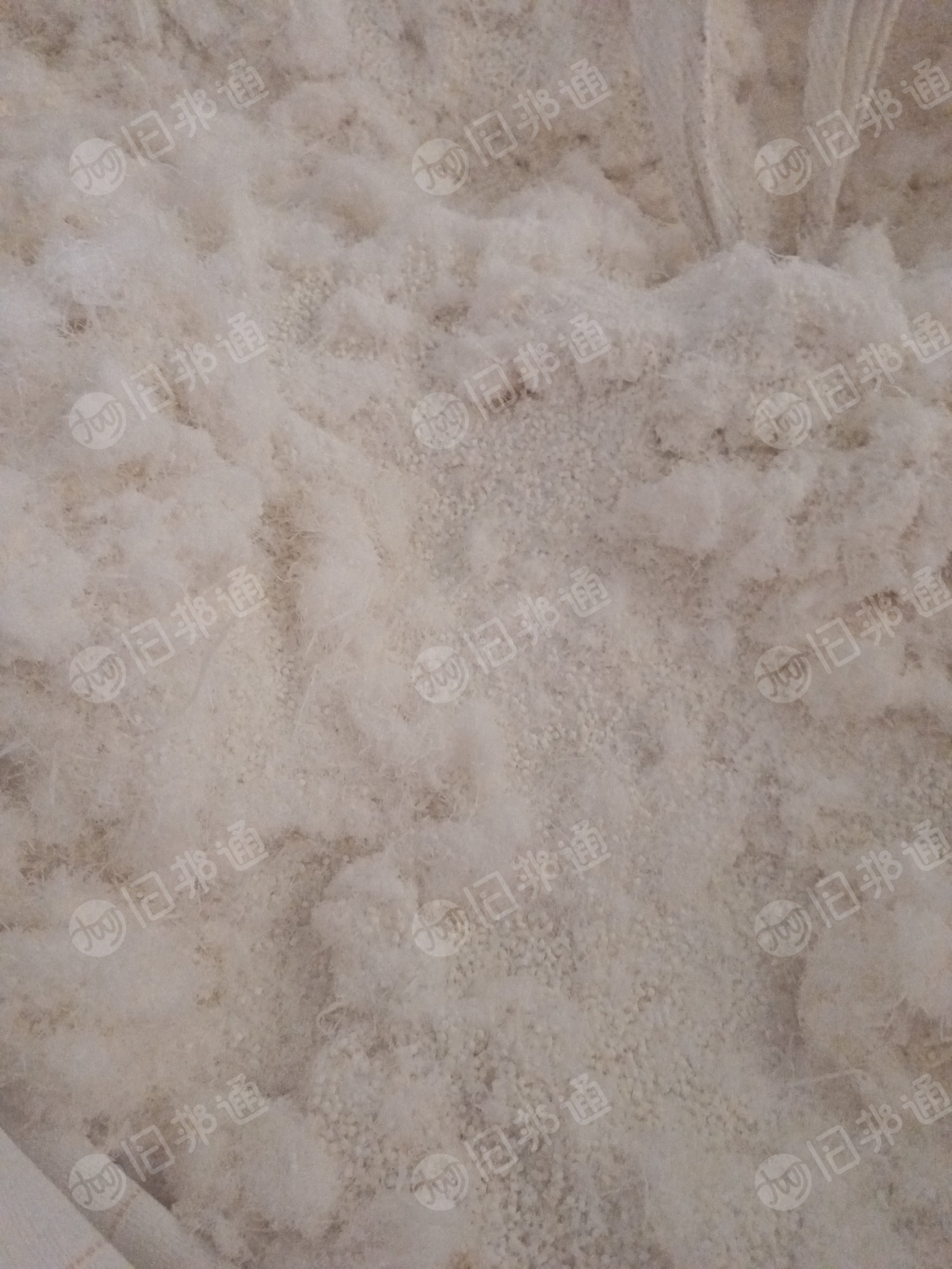 长期求购pet粉末，涤纶磨毛料，涤纶废丝，毛毛料，白色要求白度要好，造粒用