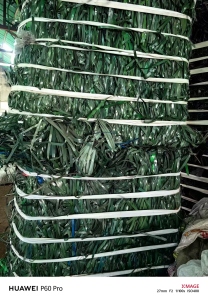 出售PET打包带废料，长期有货