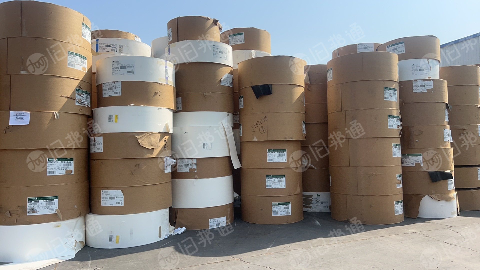 出售白色口杯纸,进口食品级淋膜白卡纸,正品切边