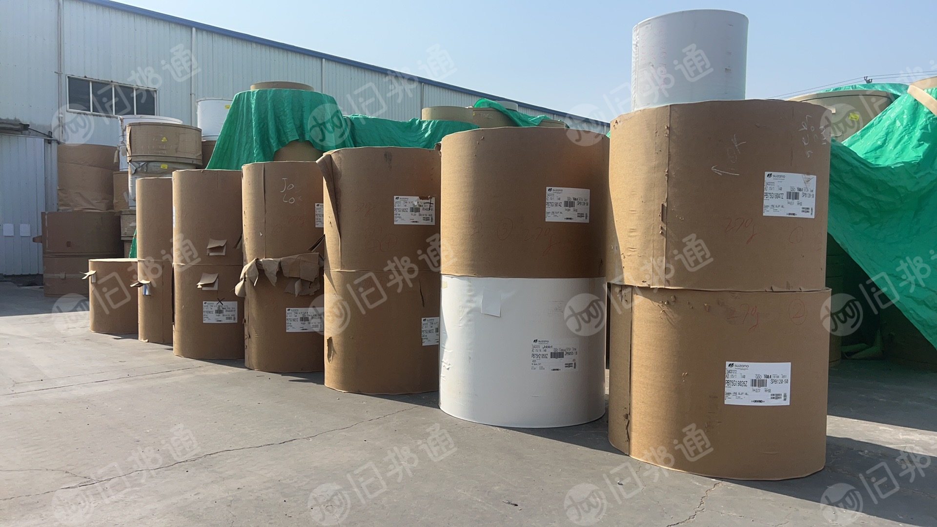 出售白色口杯纸,进口食品级淋膜白卡纸,正品切边