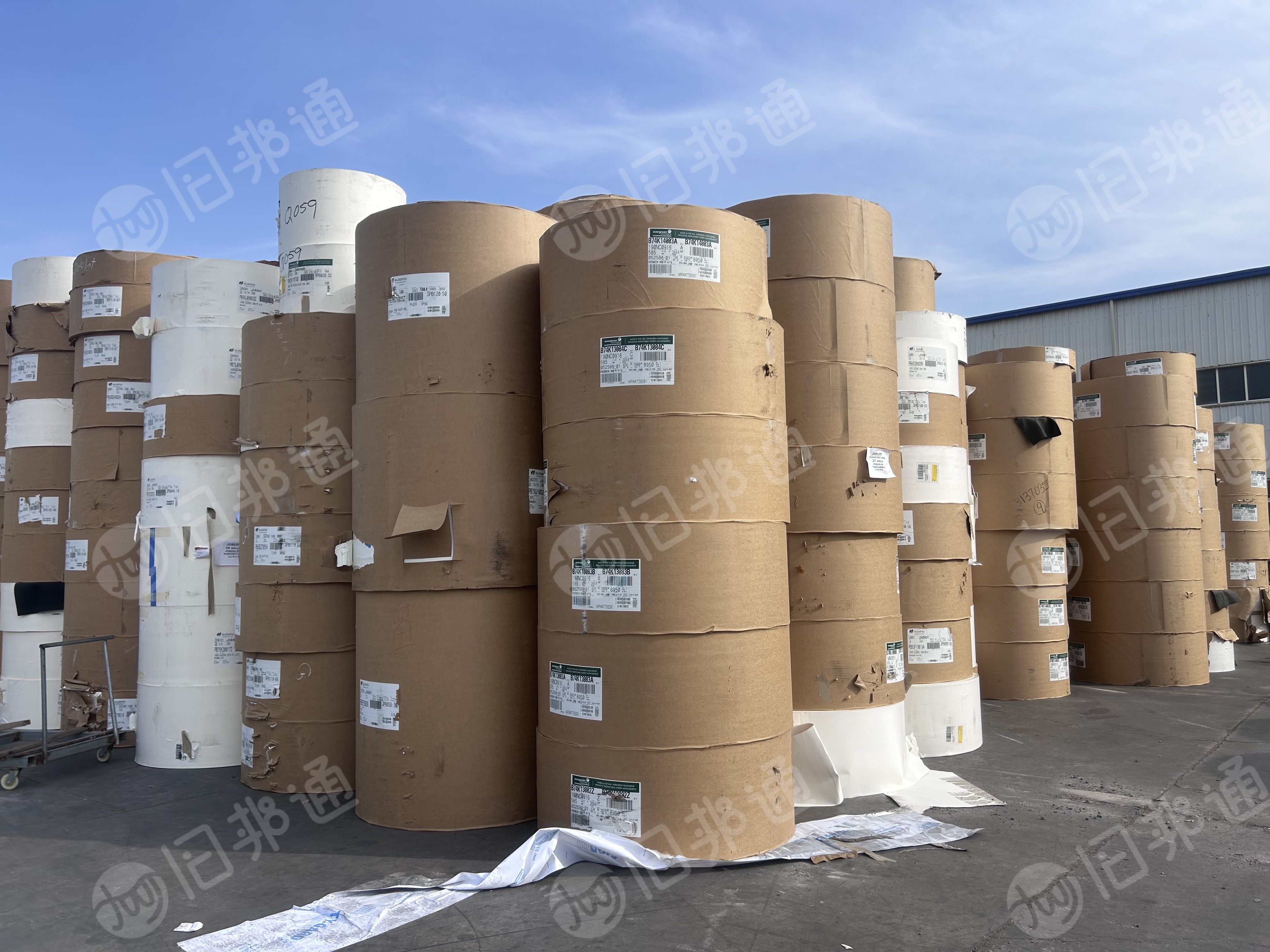 出售白色口杯纸,进口食品级淋膜白卡纸,正品切边