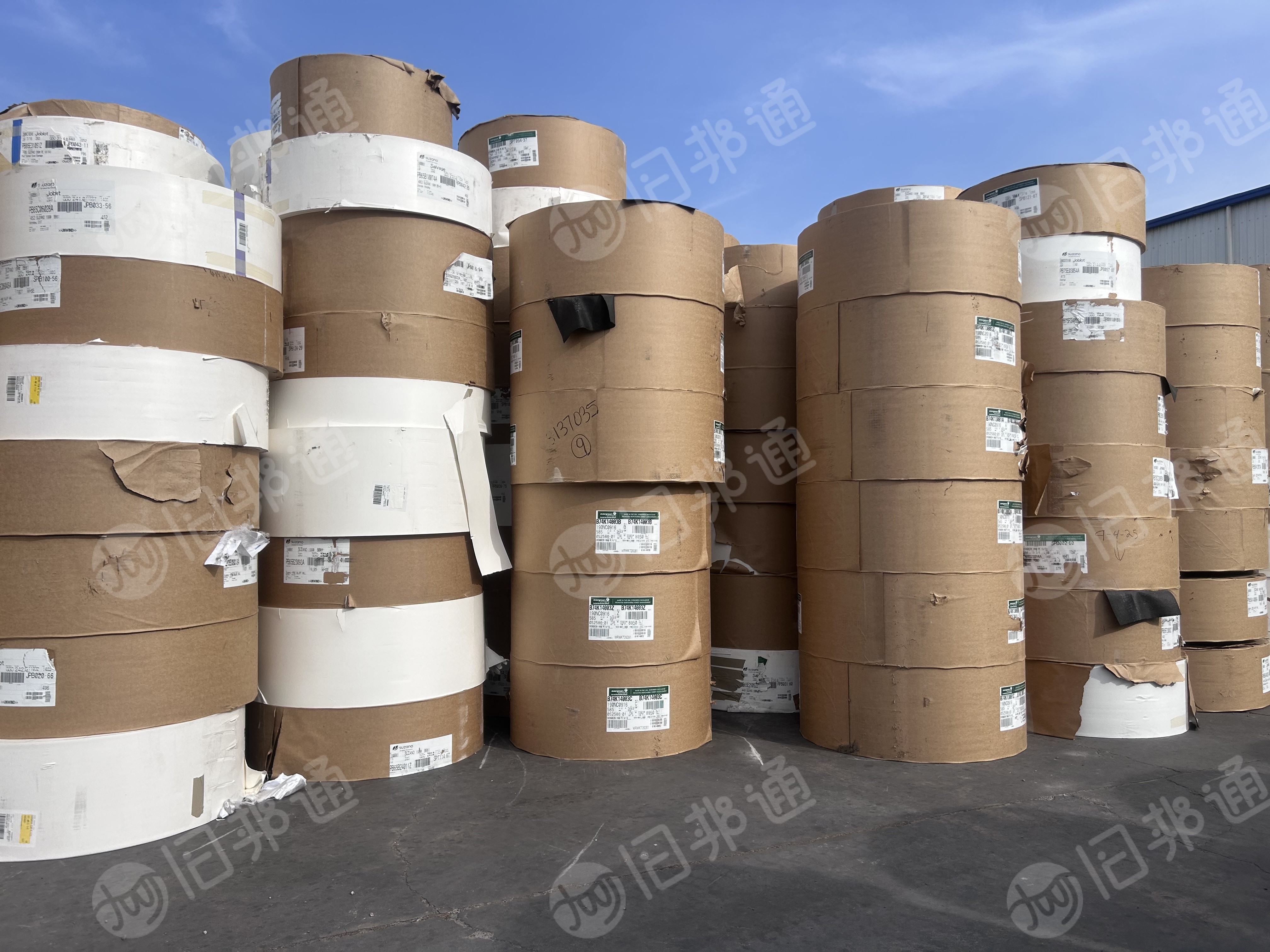 出售白色口杯纸，进口食品级淋膜白卡纸，正品切边