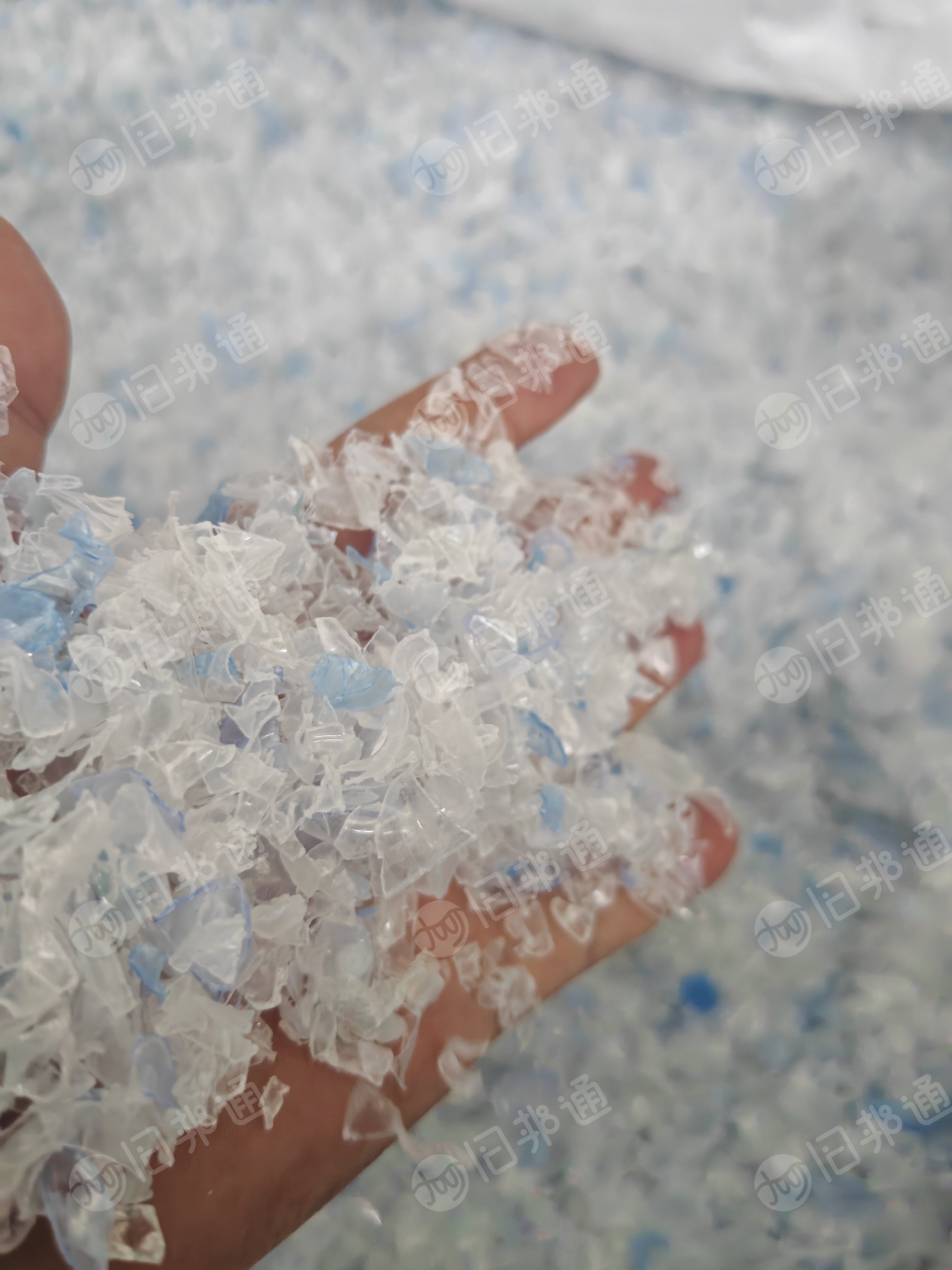 出售热洗蓝白瓶片,PET瓶片,长期有货