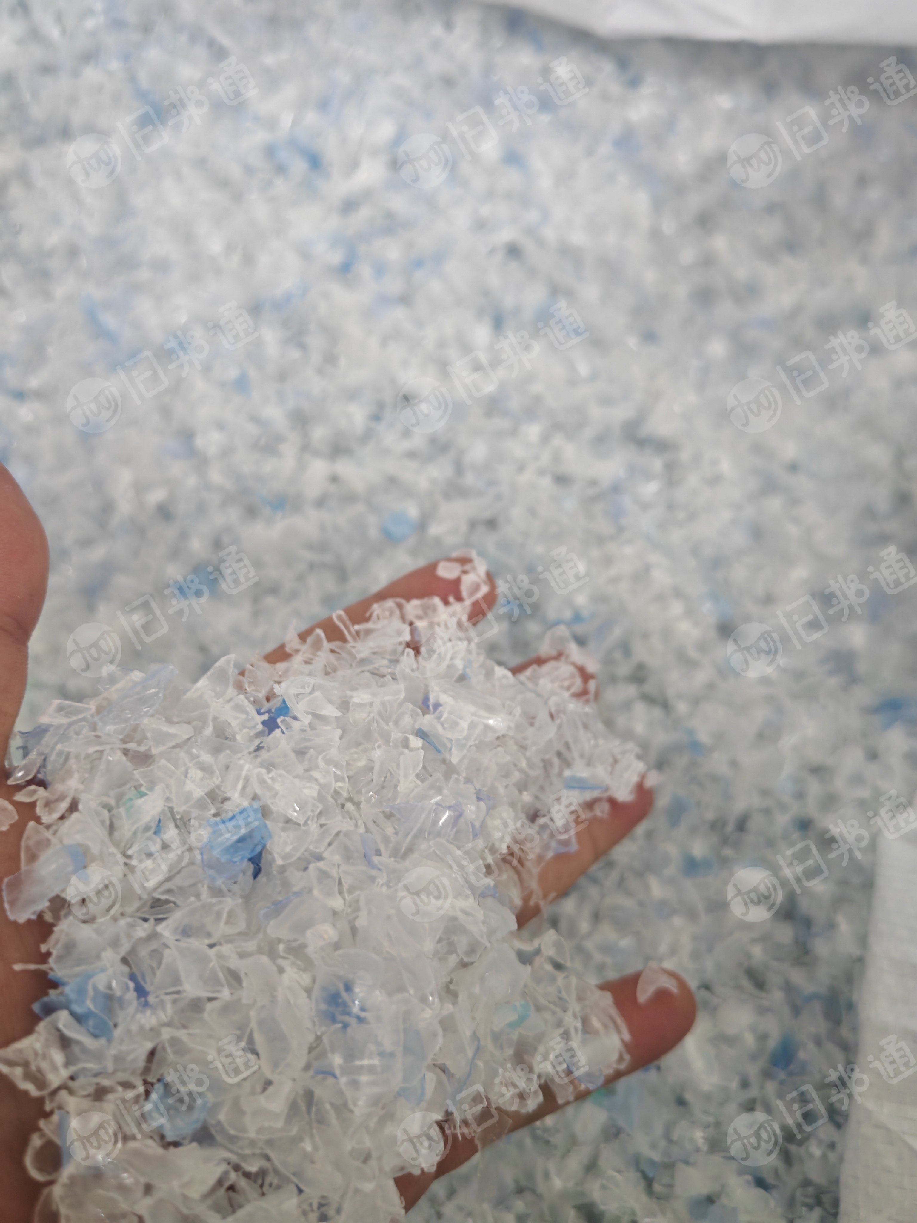 出售热洗蓝白瓶片，PET瓶片，长期有货