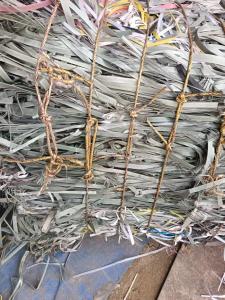 求购pp打包带毛料，杂色的或者棉包带，月需300吨