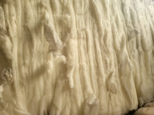 出售喷胶棉，喷胶棉原料，现货八吨