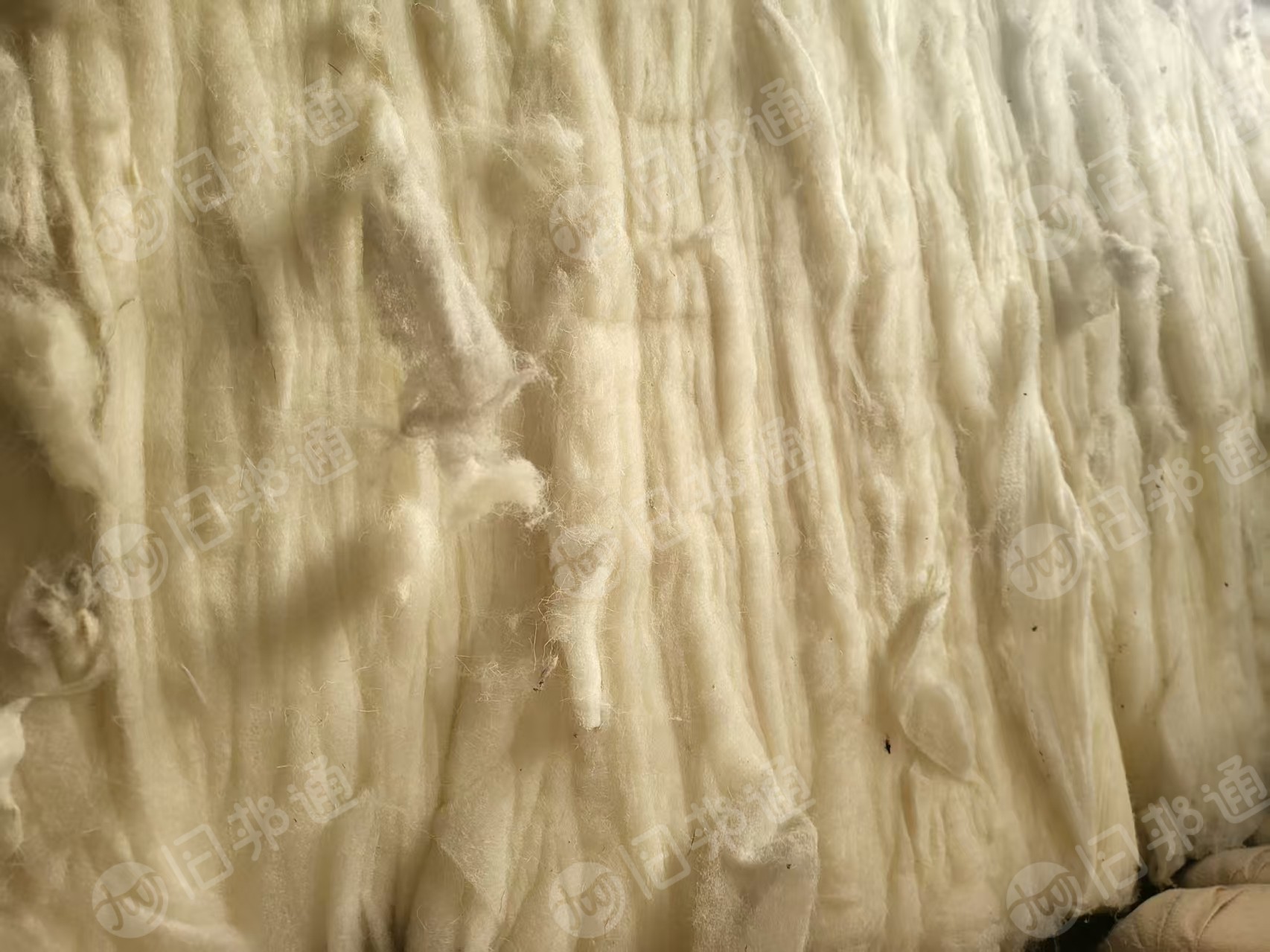 出售喷胶棉，喷胶棉原料，现货八吨