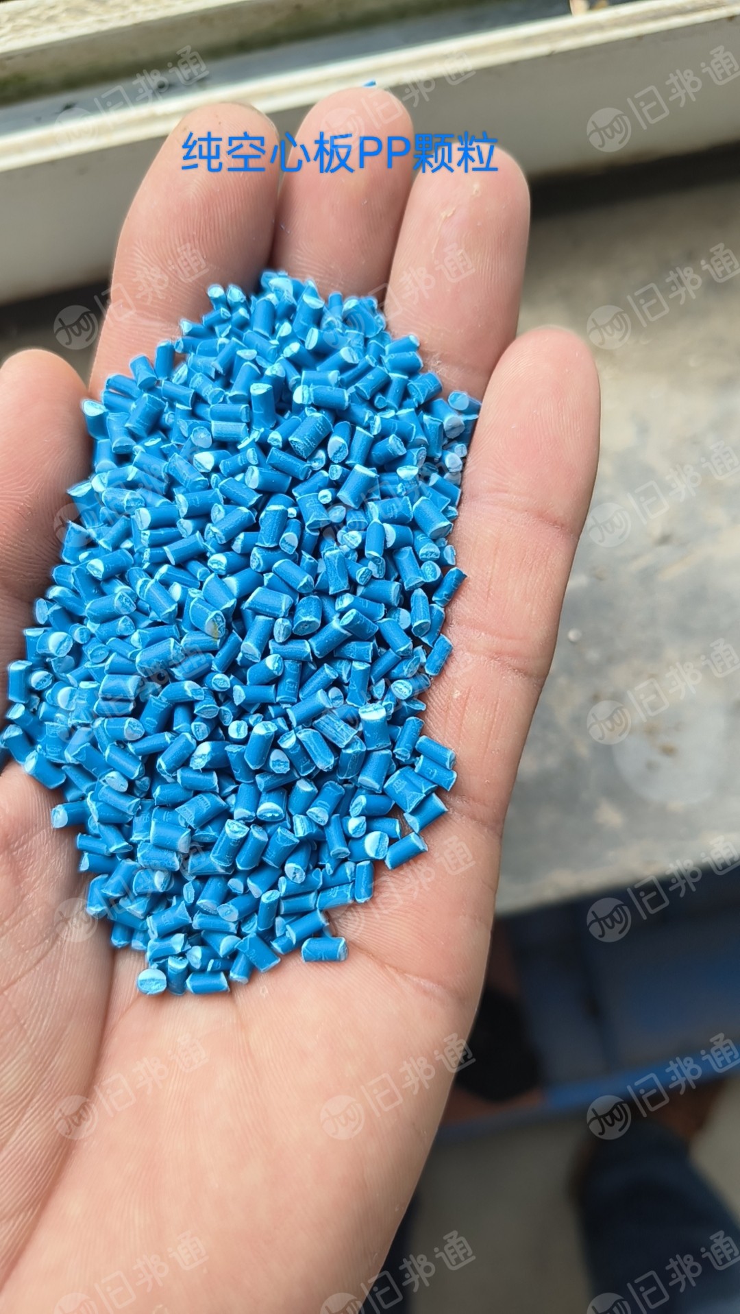 出售纯pp空心板颗粒，过100目的