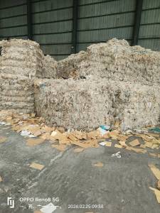 长期出售淋膜纸分离下来的pe废塑料